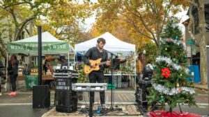 SolvingSac_DecArt-1-777x437