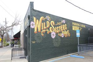 SolvingSac_WildSisters_1