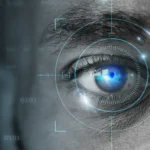 I.R.I.S. (Inmate Recognition and Identification System) — a large-scale platform for population identification by iris