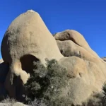For many visitors, Joshua Tree feels like more than just a park — it’s a place of healing and reflection.