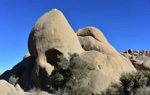 For many visitors, Joshua Tree feels like more than just a park — it’s a place of healing and reflection.