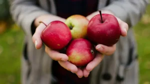 Discover the best of Apple Hill in Placerville, CA — from fresh-baked apple pies and hot cider to caramel apples and farm fun