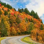 Fall in California is a time when nature and cities come alive in a special way