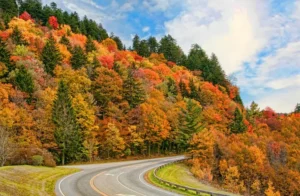 Fall in California is a time when nature and cities come alive in a special way