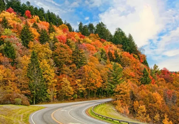 Fall in California is a time when nature and cities come alive in a special way
