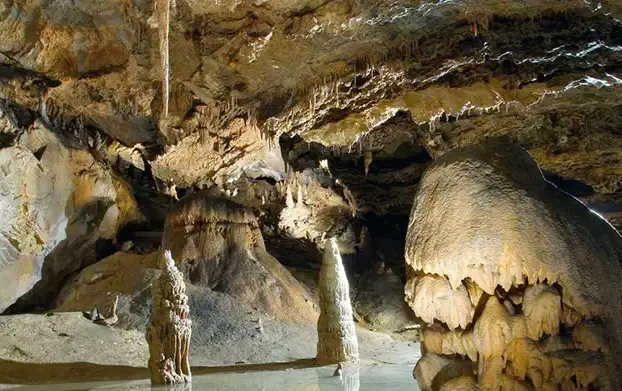 I recently discovered one of them — Moaning Caverns in Calaveras County.