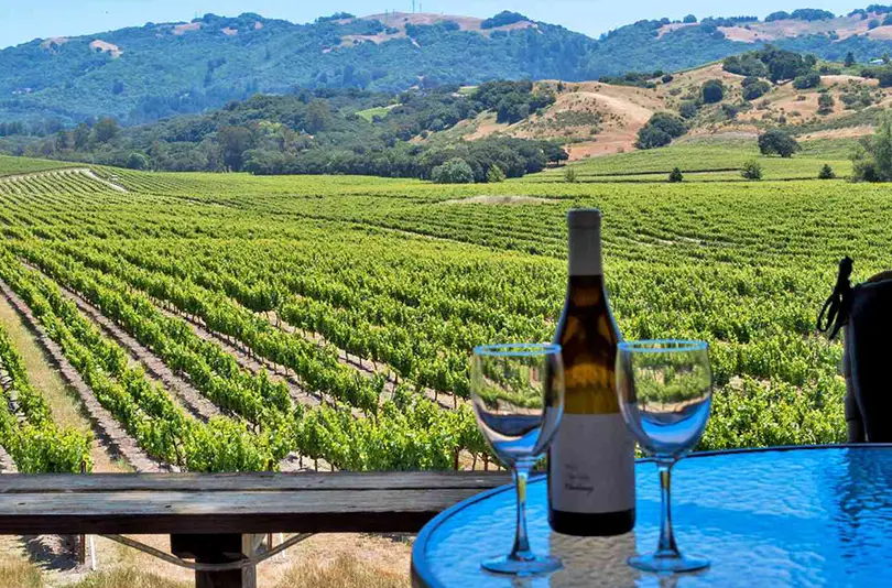 Wineries open their doors to tourists, offering tours, tastings, and special “crush season” programs