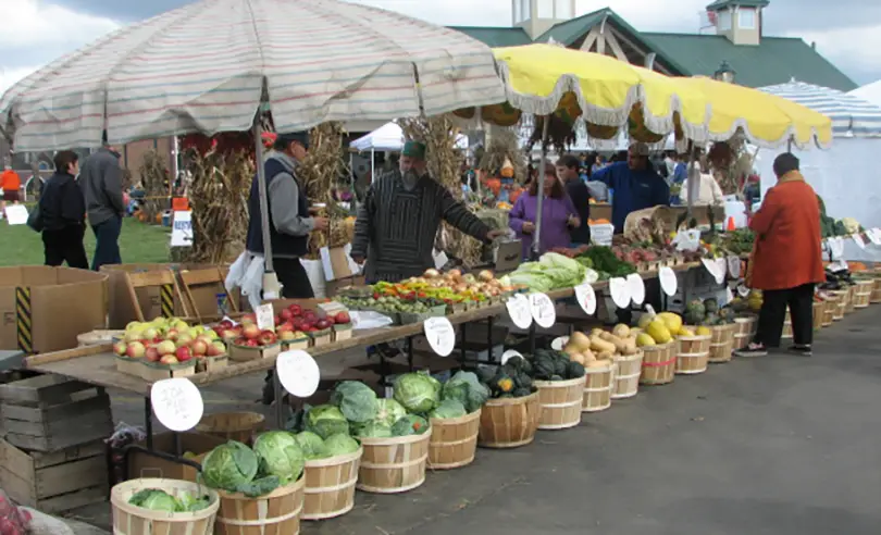 Northern California: golden hills and farmers’ markets