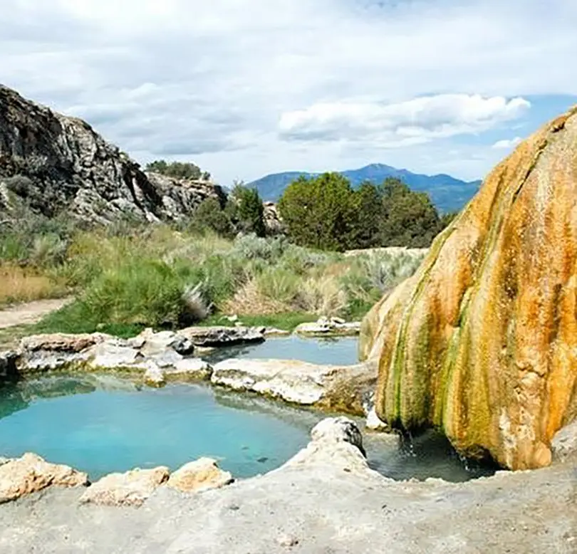 Minerals like magnesium, calcium, potassium, and sulfur help reduce stress