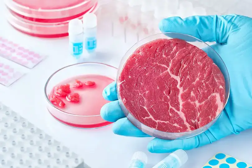 Meat Without Farms: The Birth of Ethical Protein