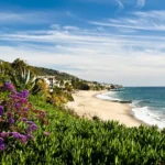 A new UC San Diego study warns that California could lose up to 30% of its beaches by 2050.