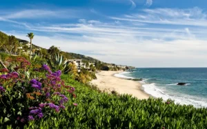 A new UC San Diego study warns that California could lose up to 30% of its beaches by 2050.