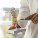 Why Bone Health Matters More Than We Notice