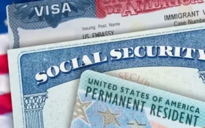 Green Card Lottery Paused