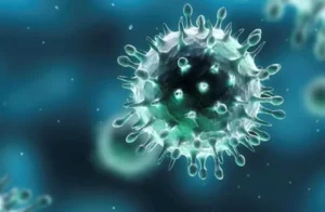 Herpes viruses are incredibly successful. They infect humans early in life, slip past immune defenses