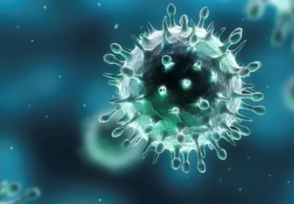 Herpes viruses are incredibly successful. They infect humans early in life, slip past immune defenses