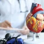 The Everyday Foods That Help Keep Cholesterol in Check