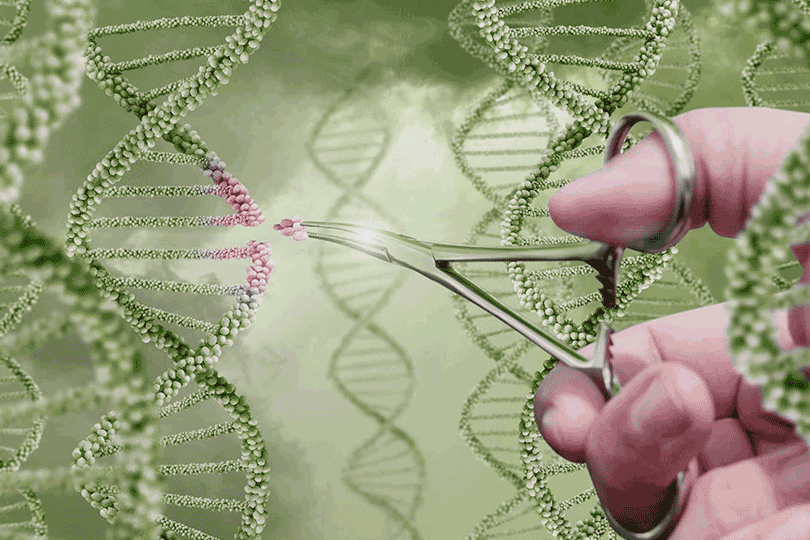 The Cas12a2 protein is a merciless killer. It sits inside a cell, asleep. Waiting for the password.