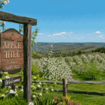 I Went to Apple Hill in May and Didn’t Want to Leave