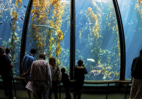 Good news for Monterey County residents. This September, they will have a chance to visit Monterey Bay Aquarium