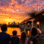 The real show begins after sunset. First, a few bats appear from the narrow openings under the bridge.